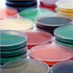 Hematologic testing image